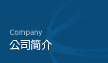 Company 公司简介